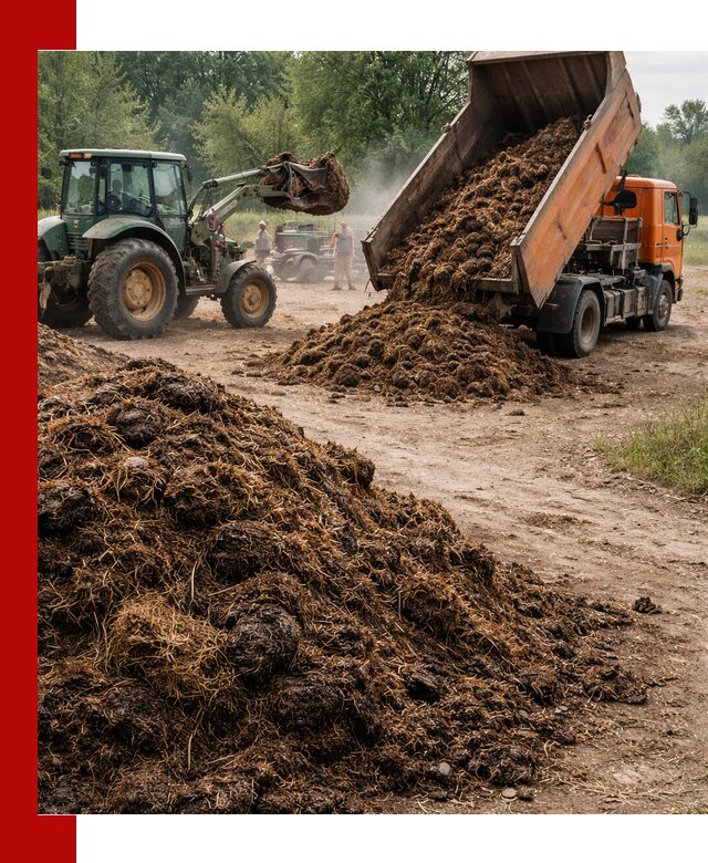 Доставка навоза самосвалами в Ишимбае для сельхозпотребностей